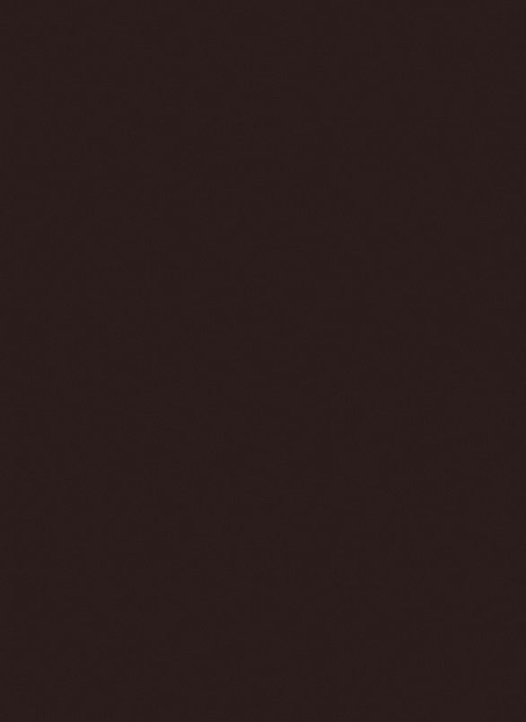 ЛДСП 8 мм 2800*2070 мм Чёрно-коричневый U989 ST9 7 Эггер