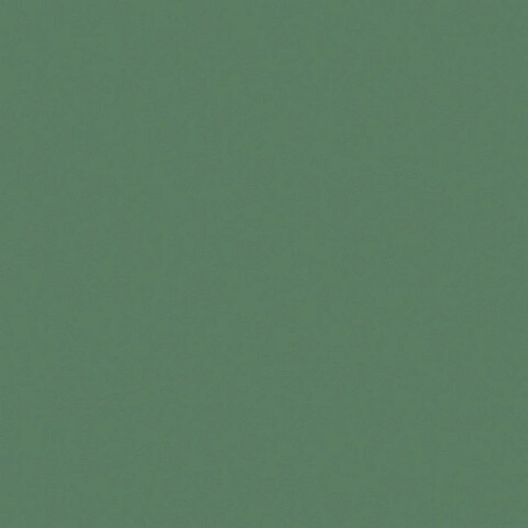 ЛДСП Egger Зелёный эвкалипт AU604 ST9 2800*2070*16
