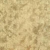 кромка ПВХ  Звезда терра 680  22*1 мм (глянец) AGT 4гр
